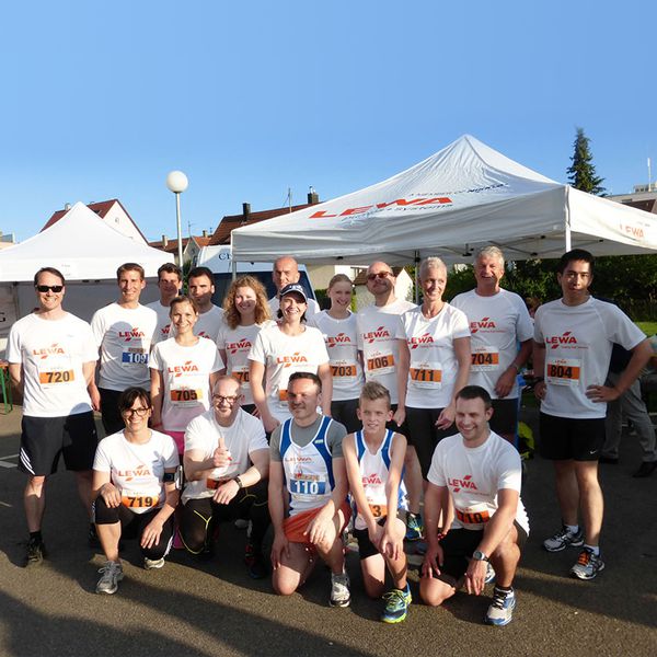 Leonberg city run